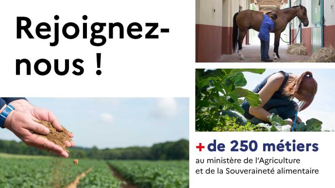 Image d'illustration du site internet recrutement.agriculture.gouv.fr