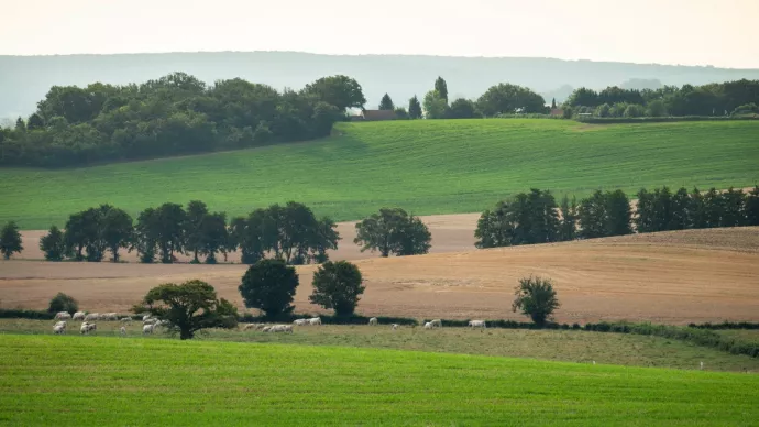 Paysage agricole