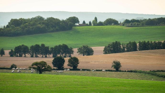 Paysage agricole