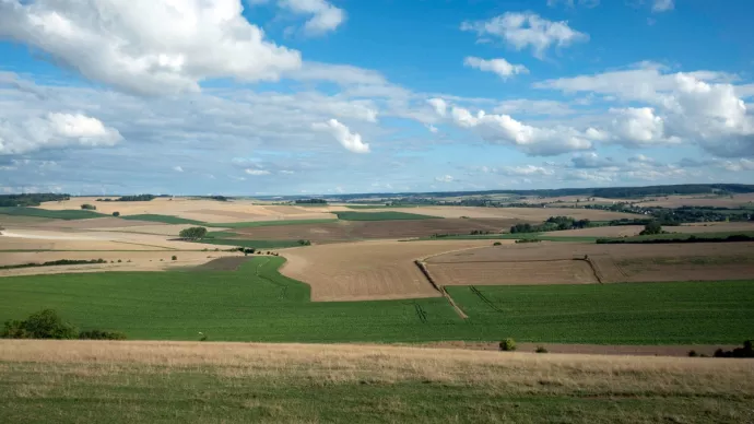 Paysage agricole des grandes cultures