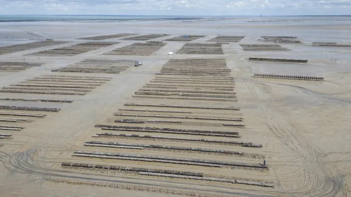 Vue aérienne des parcs à huîtres de la baie du Mont-Saint-Michel