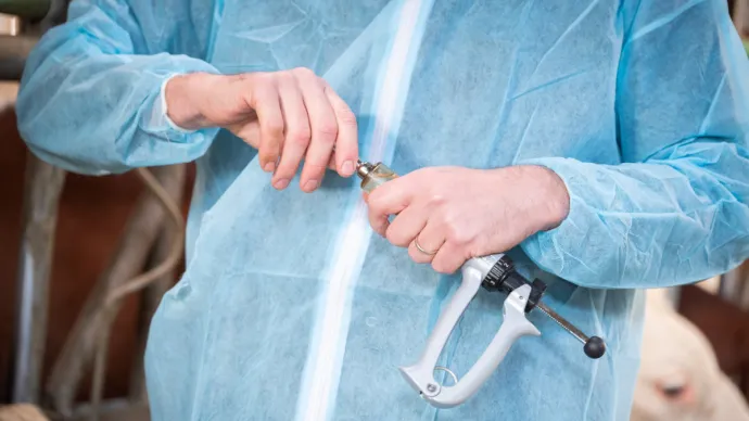 Vaccination contre la DNC dans un élevage bovin