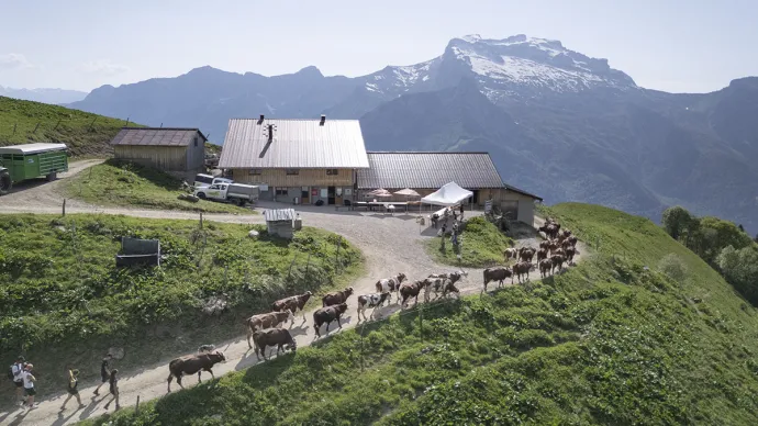 Vue aérienne de l'Alpage-école de Sulens (Haute-Savoie), voir crédit photo