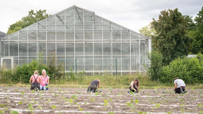 Des élèves du lycée agricole plantent dans un champ devant une serre horticole.
