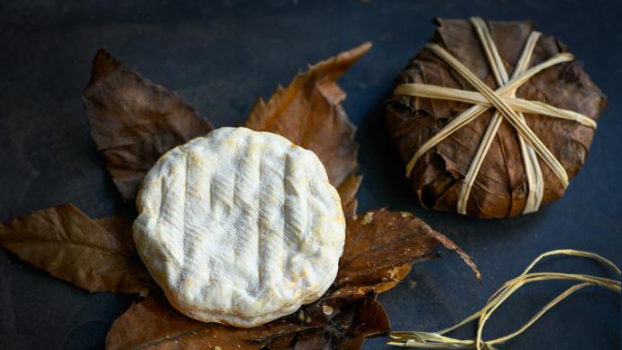 Fromage de chèvre Banon AOP