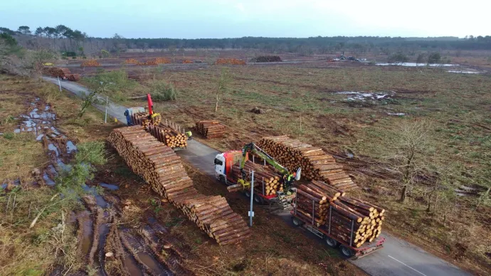 Coupe rase dans les Landes, voir crédit photo