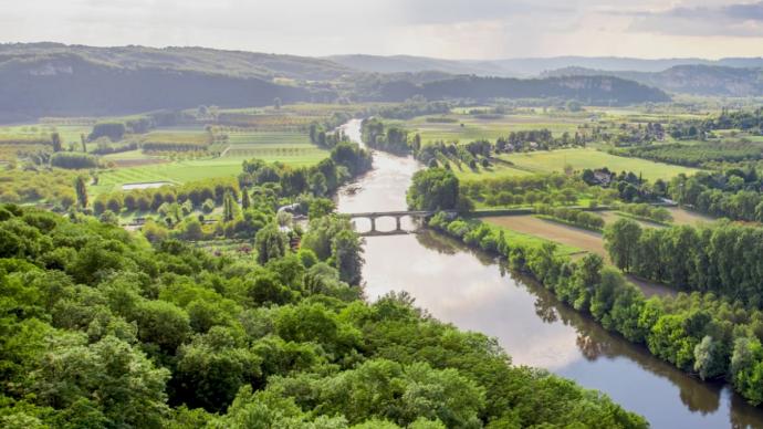 Vue aérienne de forêt entourant un fleuve et baigné de lumière