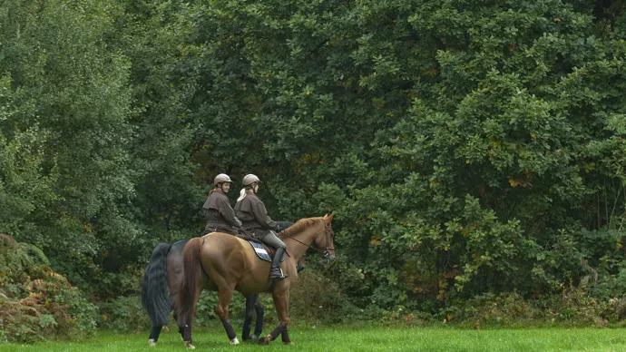 Patrouille équestre en forêt de Bondy