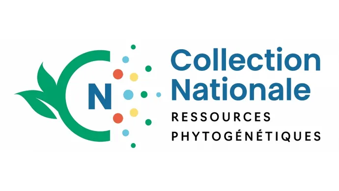 Collection nationale des ressources phytogénétiques