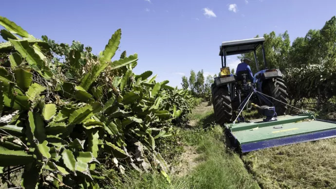 Dispositif "écophyto" mis en place à la ferme d'exploitation du lycée agricole de Saint-Paul de La Réunion.