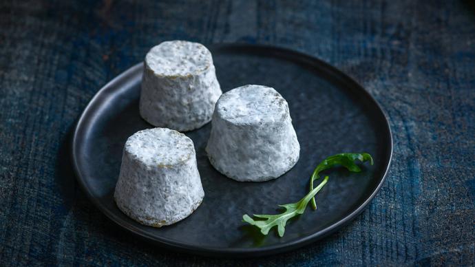 Fromage de chèvre Mâconnais