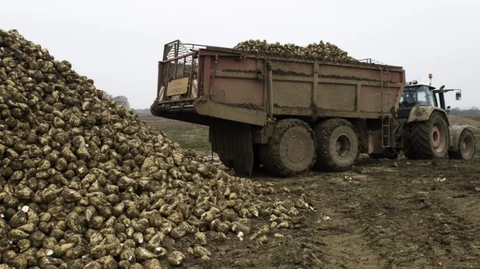 camion
