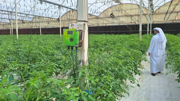 les défis de l’approvisionnement alimentaire à partir de l’exemple des pays du Golfe