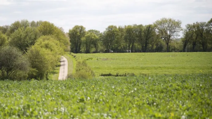 Paysage agricole de la Nièvre