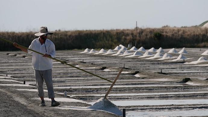 Récolte du gros sel sur l’île de Ré.