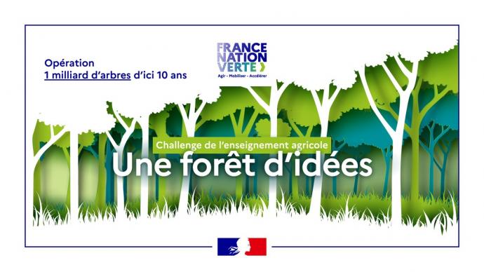illustration de forêt: opération 1 milliard d'arbres d'ici 10 ans, challenge de l'enseignement agricole, une forêt d'idées