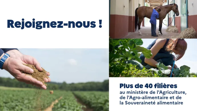 Image d'illustration du site internet recrutement.agriculture.gouv.fr