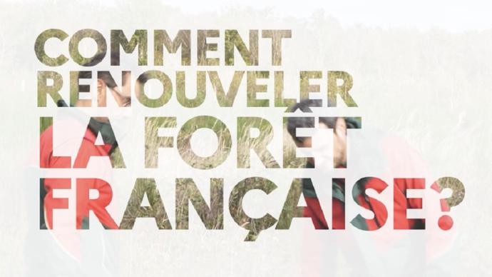Vignette d'illustration de la vidéo "Comment renouveler la forêt française ?"