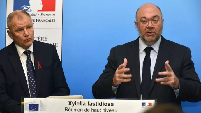 Crédit ci-après