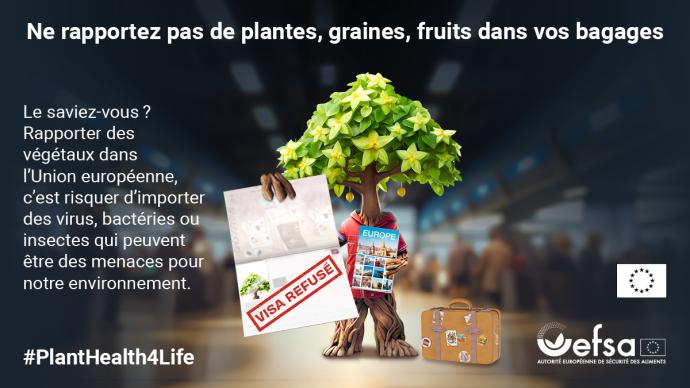 vignette campagne "Plant Health for life"