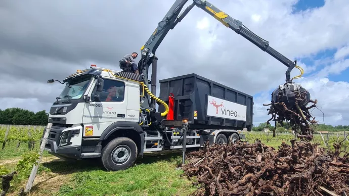 Récupération des ceps de vigne par camion