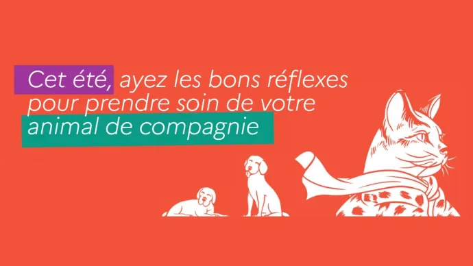 Couverture du guide "Cet été, ayez les bons réflexes pour prendre soin de votre animal de compagnie"