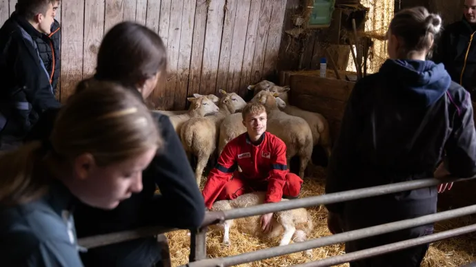 élèves agricoles durant un cours d'élevage avec des moutons