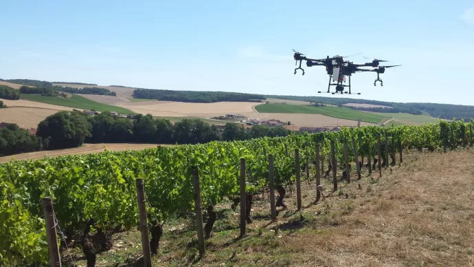 Drone pulvérisateur au-dessus d'un vignoble
