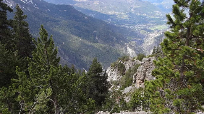 Crédits ci-après