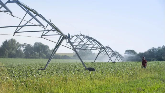 Irrigation par aspersion d'un champ de soja