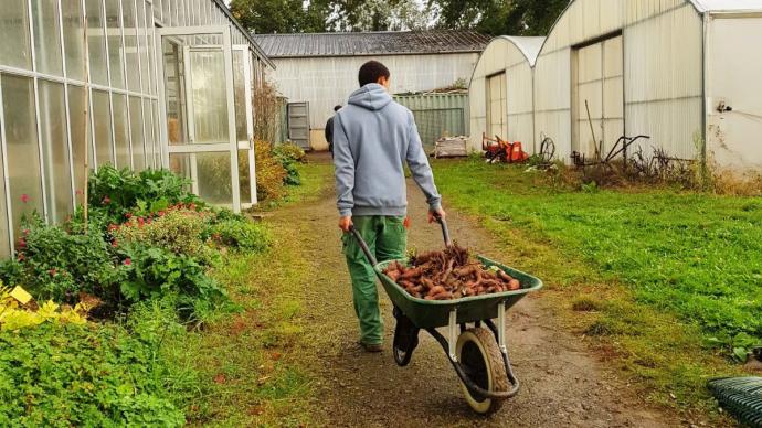 Jeune de l'enseignement agricole tirant une brouette remplie de légumes