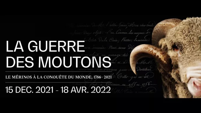 Affiche de l'exposition "La guerre des moutons" sur fond noir avec une tête de mérinos sur la droite.