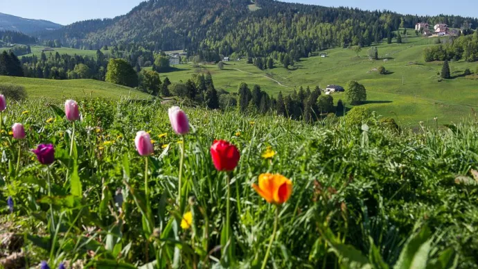 Paysage agricole