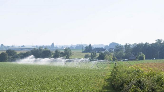 irrigation d'un champs