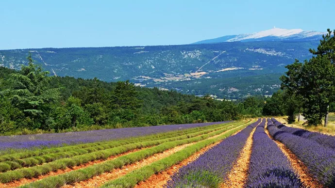 Crédit ci-après