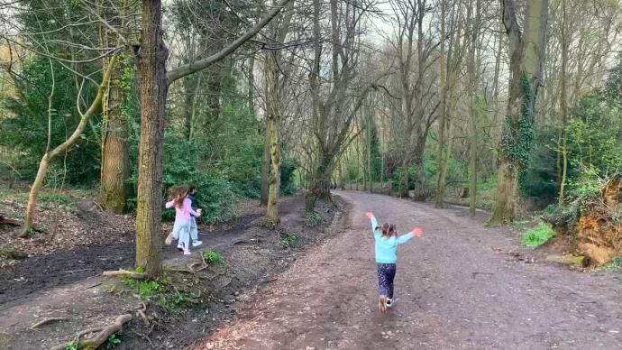Enfants se promenant dans une forêt
