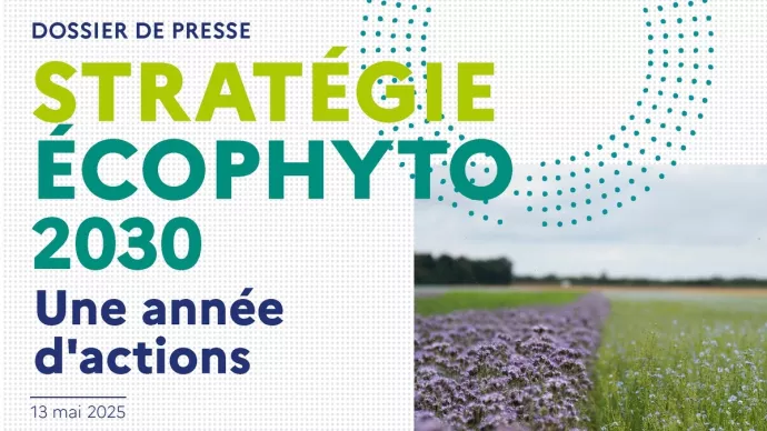 Vignette dossier de presse "Stratégie Écophyto 2030 : une année d'actions"