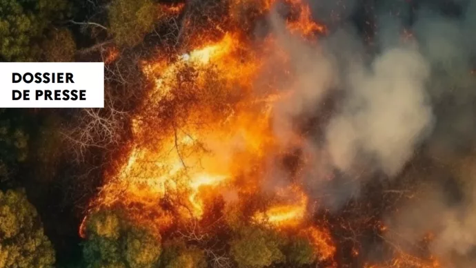 Vignette du dossier de presse "Campagne de prévention des feux de forêt et de végétation"
