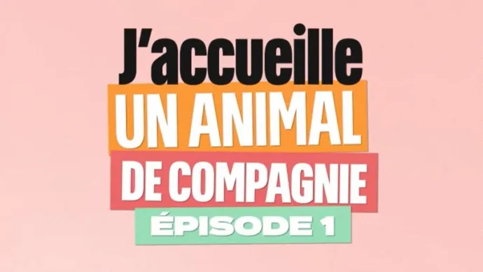 J'accueille un animal de compagnie, épisode 1