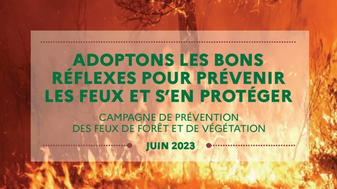 Vignette du dossier de presse sur la campagne de prévention des feux de forêt et de végétation