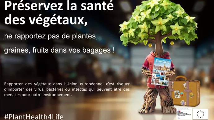 vignette campagne EFSA Plant Health For Life 2025