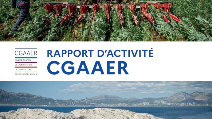 Vignette rapport d'activité du CGAAER