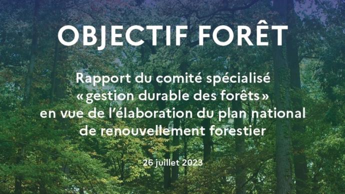 OBJECTIF FORÊT : Rapport du comité spécialisé « gestion durable des forêts » en vue de l’élaboration du plan national de renouvellement forestier