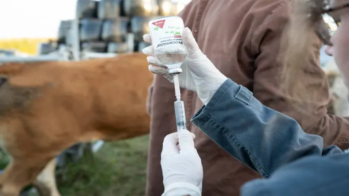 Visite vétérinaire dans une exploitation agricole