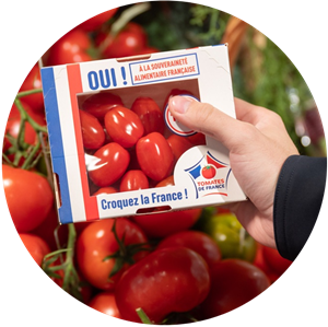 étalage de tomates cerises Croquez la France