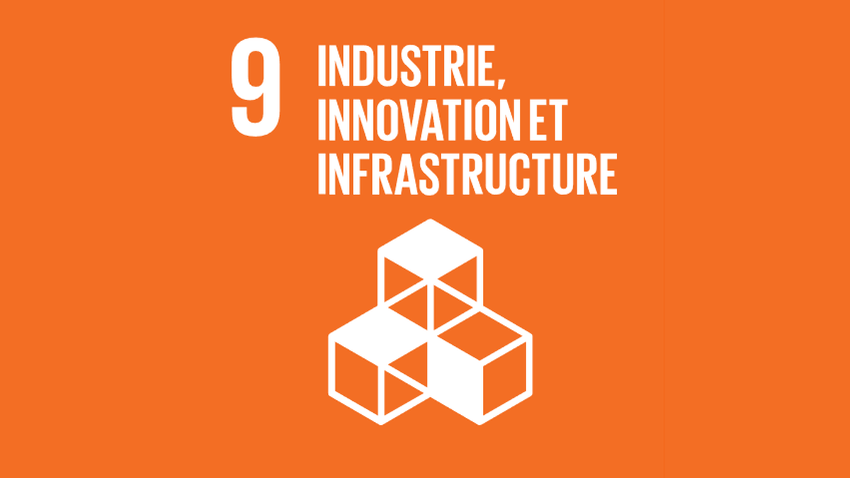ODD 9 : Industrie innovation et infrastructure
