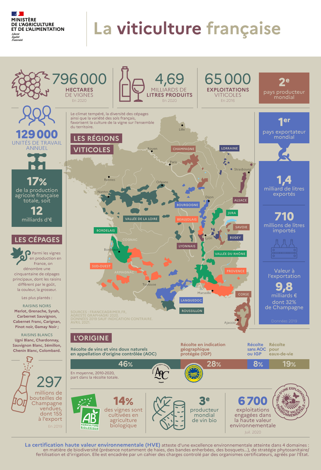 infographie viticulture