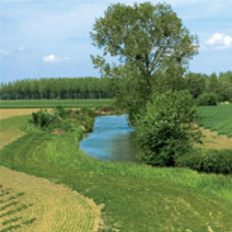 Le long des rivières, les bandes enherbées évitent les ruissellements des nitrates vers l'eau