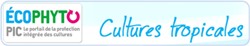 Plateforme Grandes Cultures Plateforme Grandes Cultures