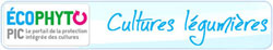 Plateforme Cultures Légumières Plateforme Cultures Légumières